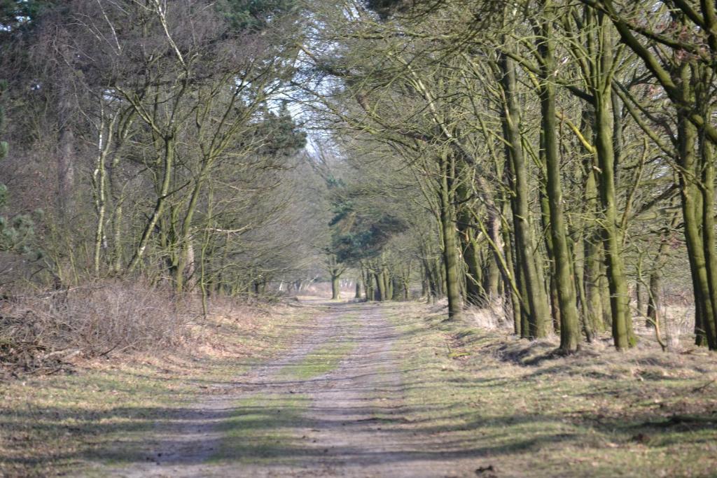 Auberge De Moerse Hoeve Bagian luar foto