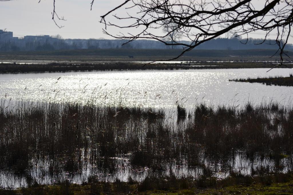 Auberge De Moerse Hoeve Bagian luar foto